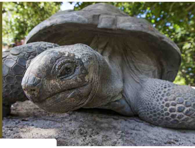 Oakland Zoo Family Day Pass
