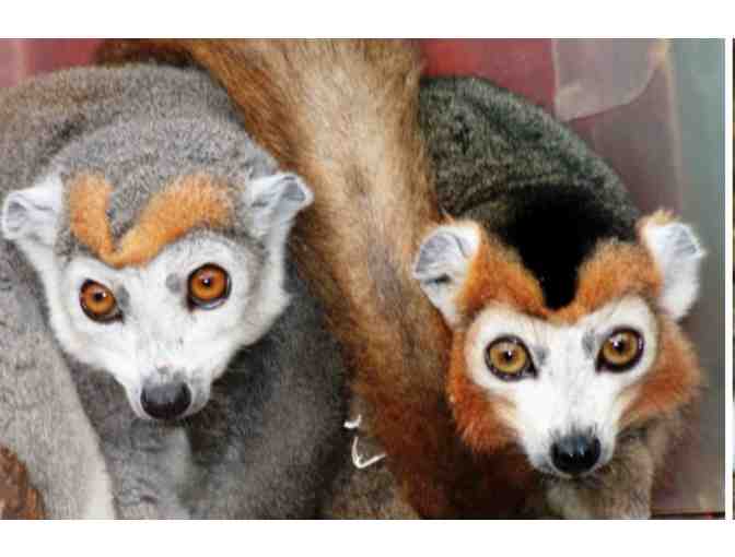 Oakland Zoo Family Day Pass