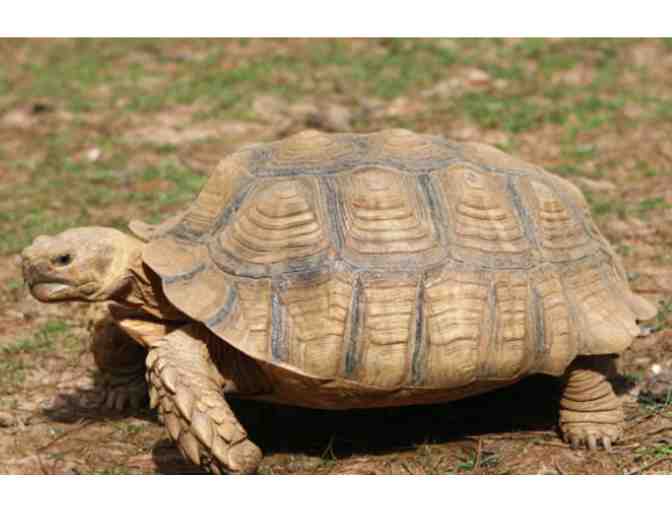 Oakland Zoo Family Day Pass