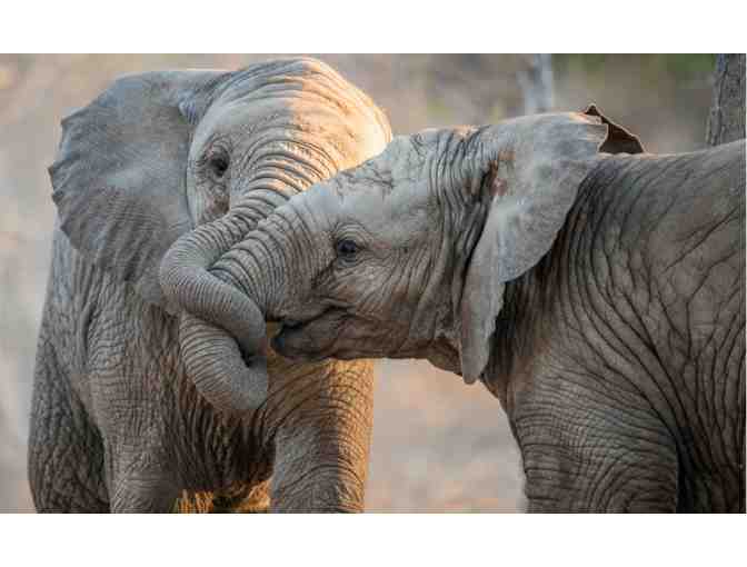 Oakland Zoo Family Day Pass