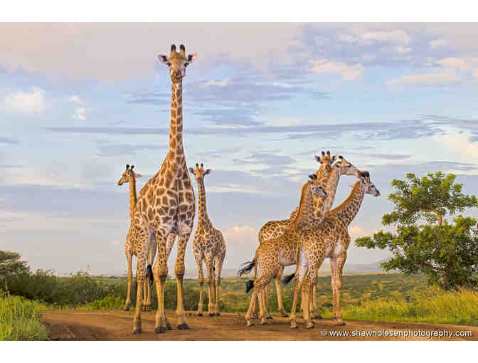 Luxury Photo Safari for Two