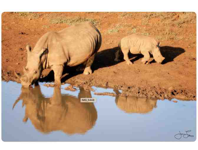 Luxury Photo Safari for Two
