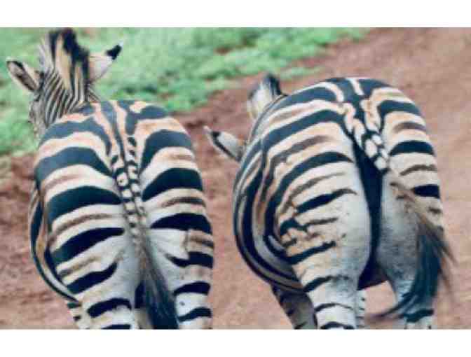 Luxury Photo Safari for Two