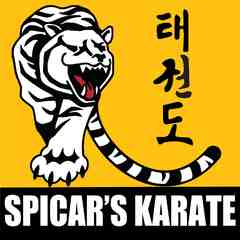 Spicar's Karate