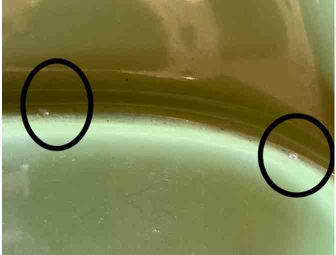 Homer Laughlin Compartment Plate Light Green