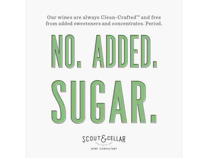 Scout and Cellar - Red Wine Assortment