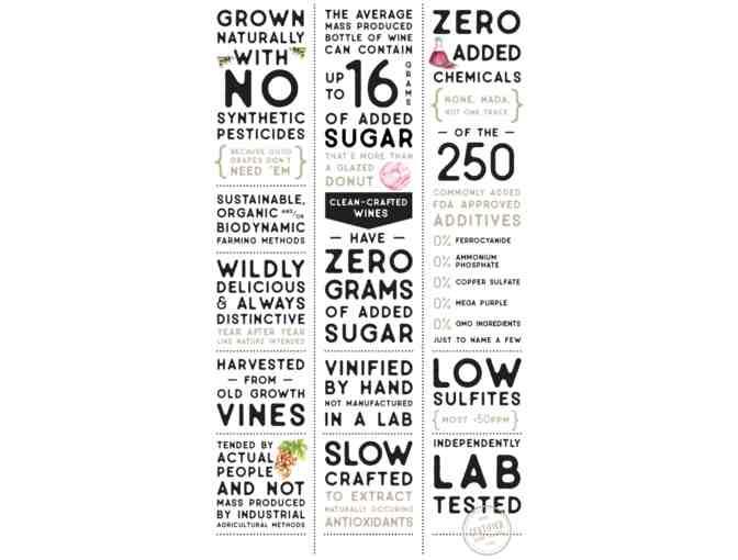 Scout and Cellar - White Wine Assortment