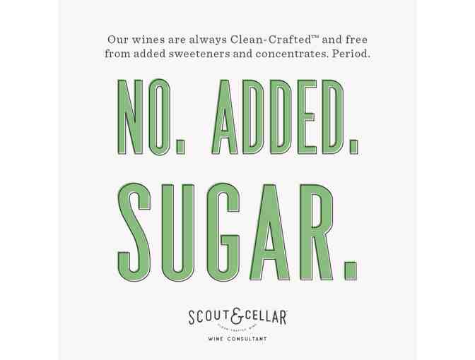 Scout and Cellar - Red Wine Assortment
