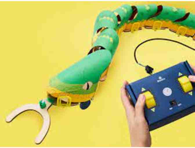 KiwiCo - Remote Controlled Snake Robot