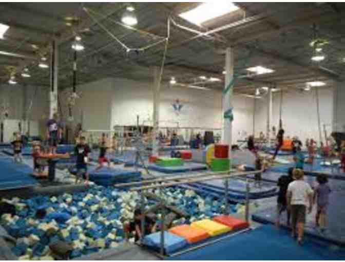 Victory Gymnastics- Birthday Party for 15 kids!