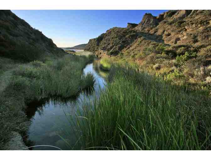 Island Packers-Excursion Pass for 2 to Santa Cruz Island or Anacapa!