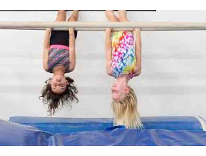 Monarchs Gymnastics-1 Free Month of Gymnastics Classes