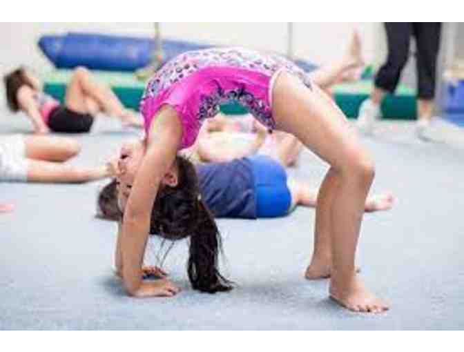 Monarchs Gymnastics-1 Free Month of Gymnastics Classes