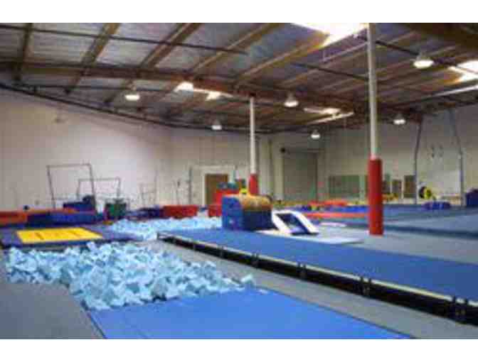 Monarchs Gymnastics-1 Free Month of Gymnastics Classes