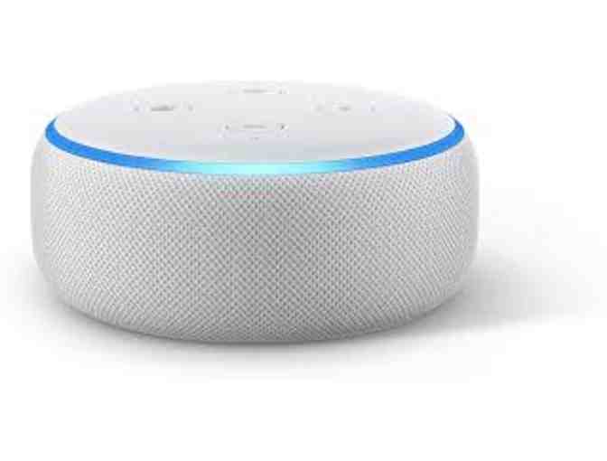 Amazon- One (1) Echo Dot in Sansdtone