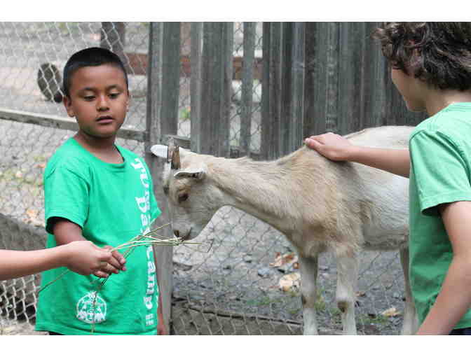 Tumbleweed Day Camp- (1) $500 Gift Certificate