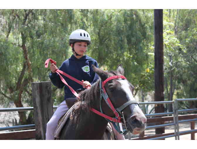 Tumbleweed Day Camp- (1) $500 Gift Certificate