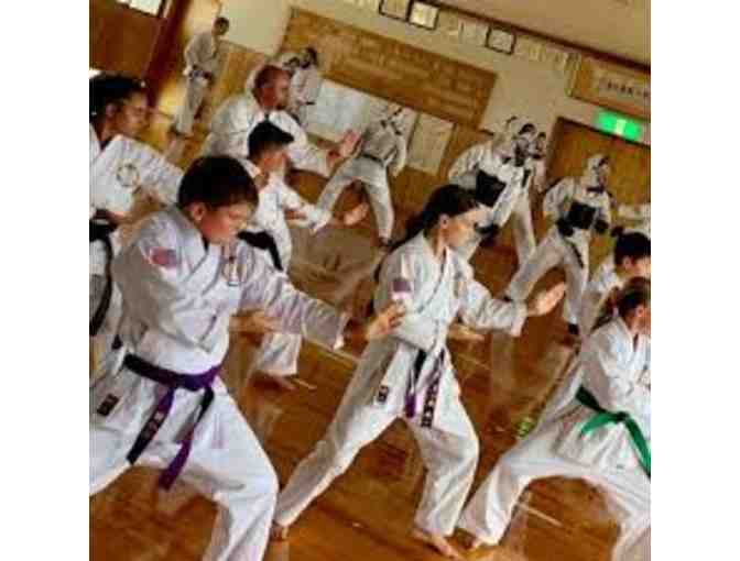 Kenshin Martial Arts- 1 Month Unlimited Self Defense & Martial Arts Classes