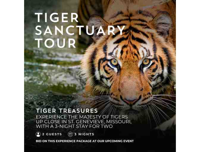 MO Tiger Sanctuary | 3-Night Stay - Photo 4