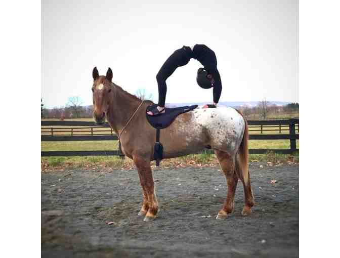 Solaris Stable & Yoga Studio Certificate