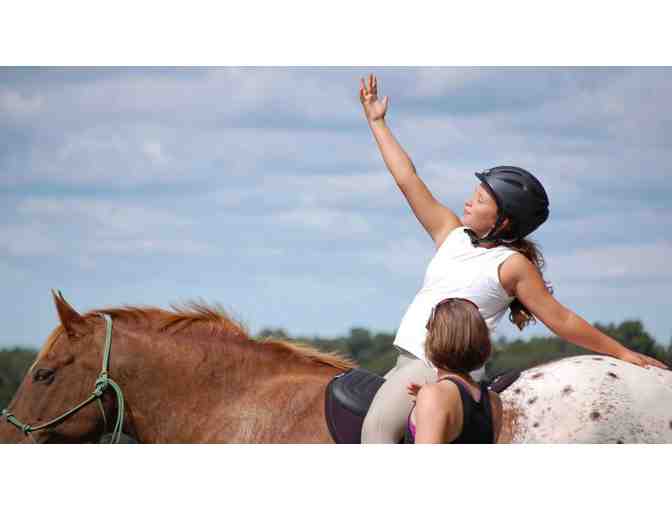 Solaris Stable & Yoga Studio Certificate