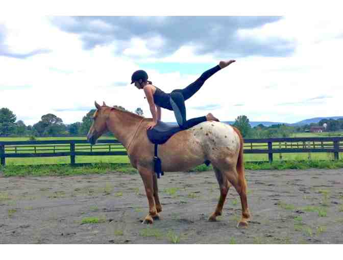 Solaris Stable & Yoga Studio Certificate