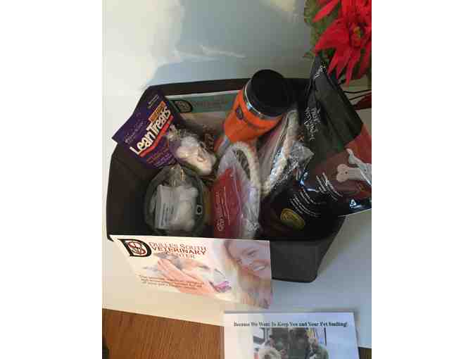 Free Canine Bath and Brush Out