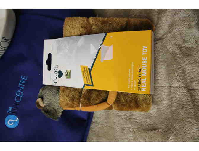 Catstravaganza collection