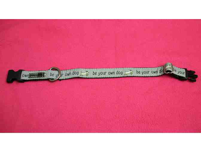 Teddy The Dog -Be Your Own Dog collar - gray