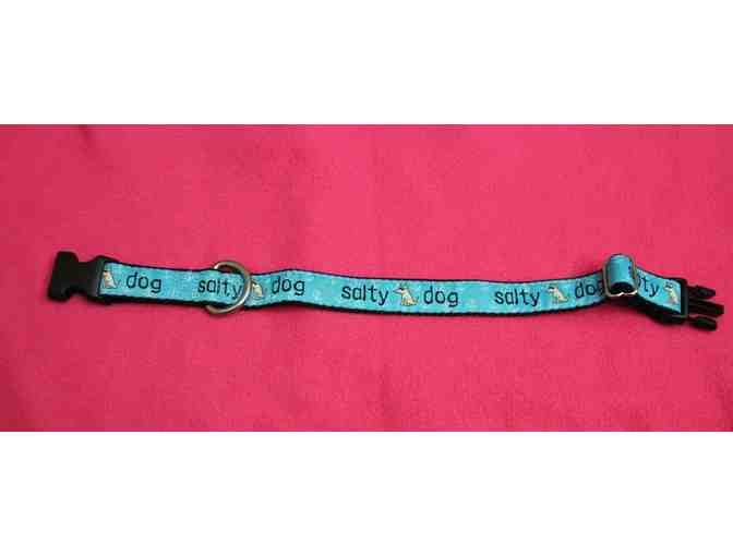 Teddy the Dog - Salty Dog collar