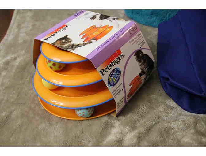 Catstravaganza collection