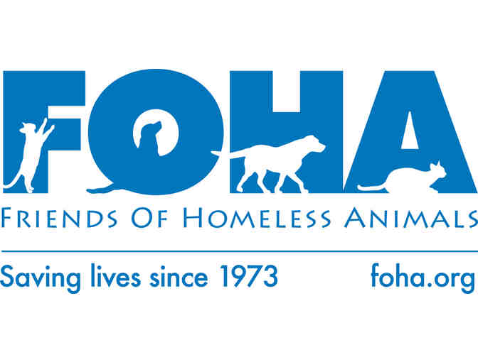 Fund a Need - Help fund Alpine's surgery