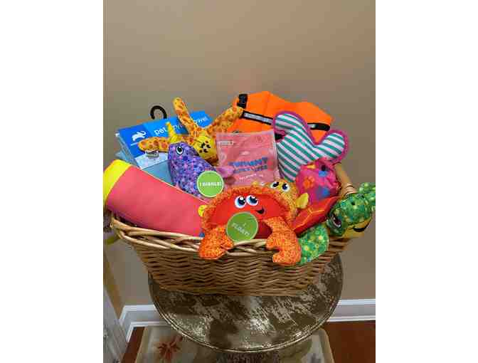 Dog Days of Summer Swim Basket