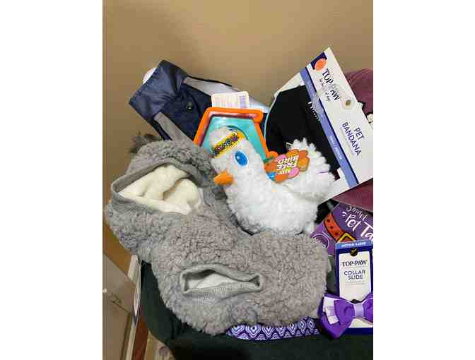 All Bark No Bite Dog Basket