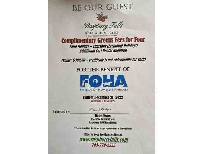 Foursome at Raspberry Falls Golf and Hunt Club