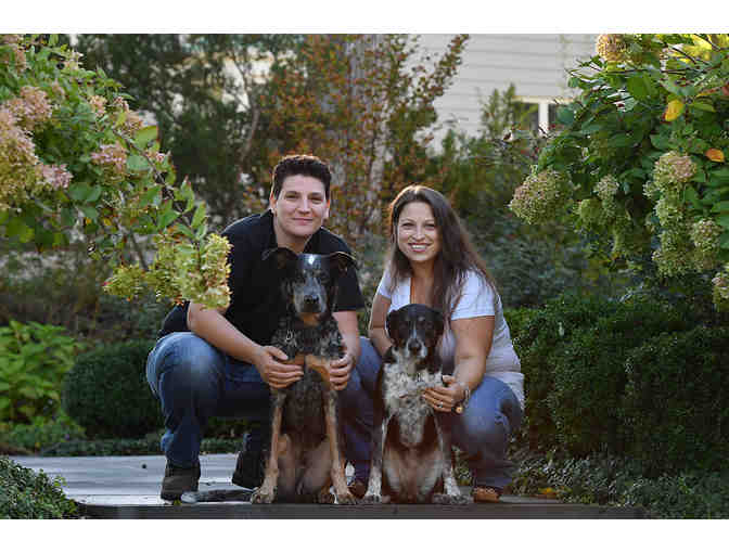 Spoil Your Pet with Pet Lodge & Day Spa