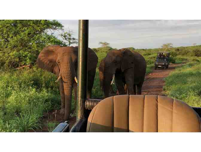 African Safari- Trip of a Lifetime!