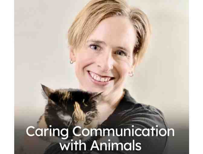 Session with Pet Communicator Nancy Mello