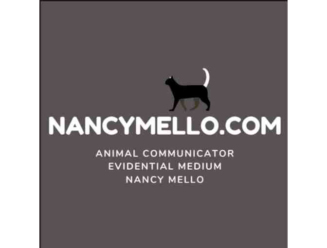 Session with Pet Communicator Nancy Mello - Photo 2