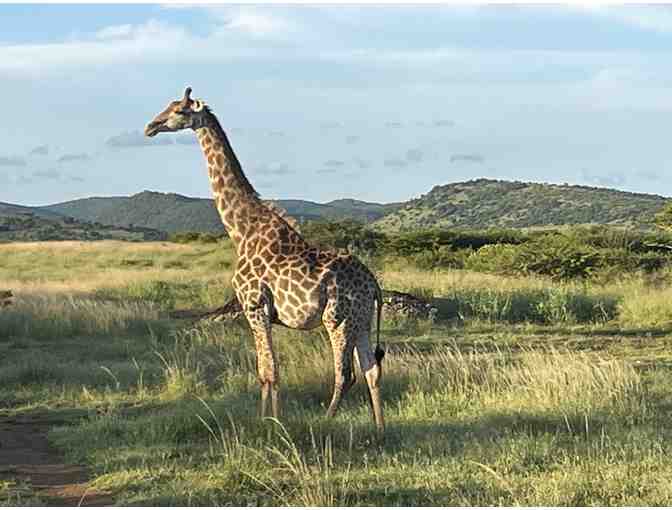 African Safari For Two