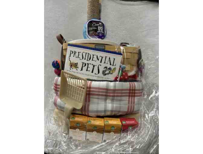 Everything for your Cat Basket - Photo 1