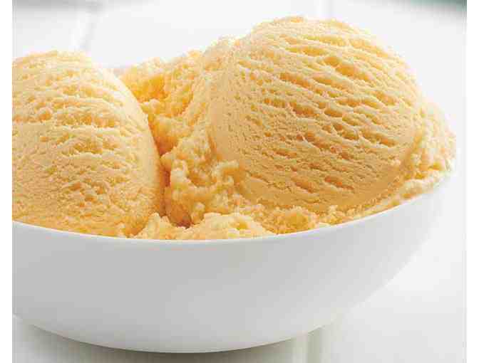 I Scream for Dairy Cows!