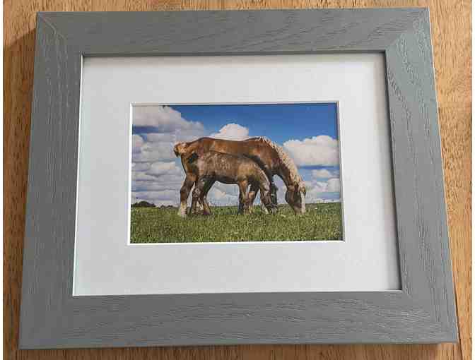 Natural Rural Beauty