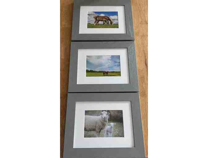 Natural Rural Beauty