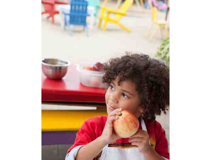 Portrait Photography Session