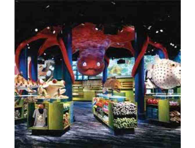 Shedd Aquarium - 4 General Admission Tickets