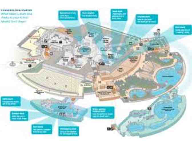 Shedd Aquarium - 4 General Admission Tickets