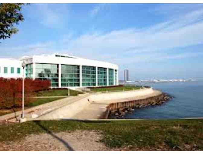 Shedd Aquarium - 4 General Admission Tickets