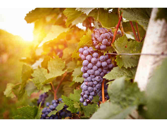 Intimate Blending Seminar, Winery Tours & Tastings, Fairmont Sonoma Mission Inn