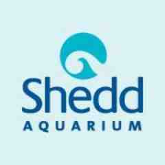 Shedd Aquarium